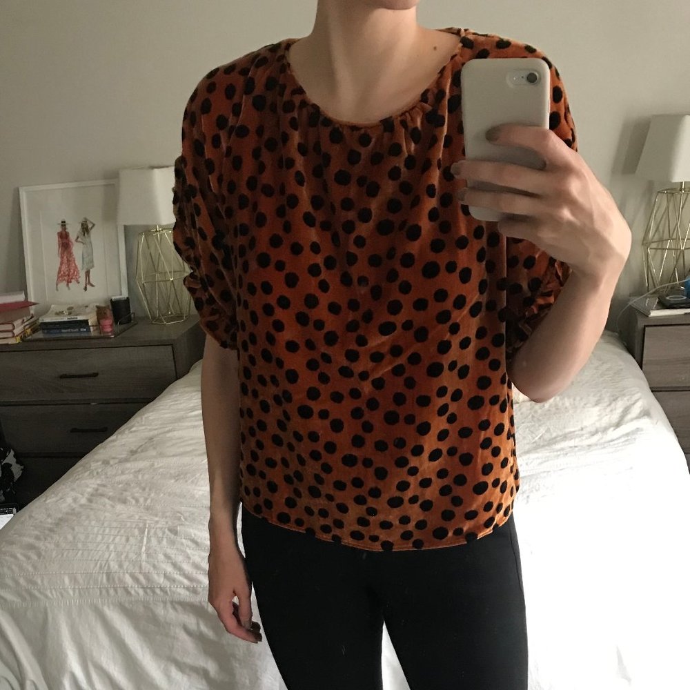 Madewell Velvet Memento Ruffle-Sleeve Top - M